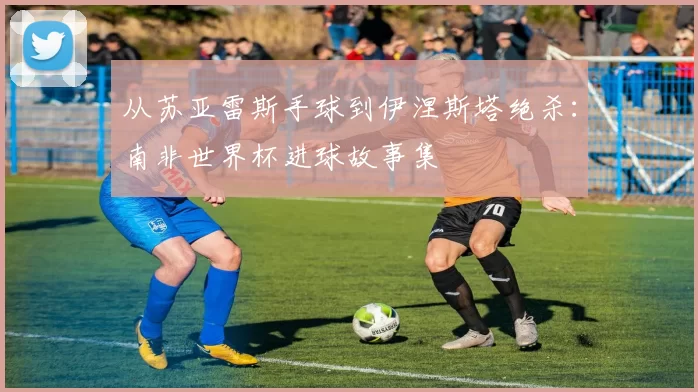 从苏亚雷斯手球到伊涅斯塔绝杀:南非世界杯进球故事集