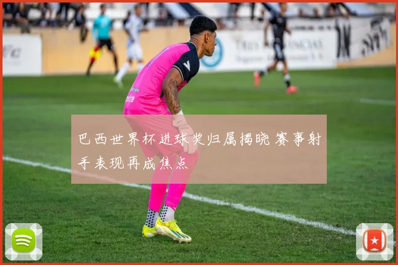 巴西世界杯进球奖归属揭晓 赛事射手表现再成焦点
