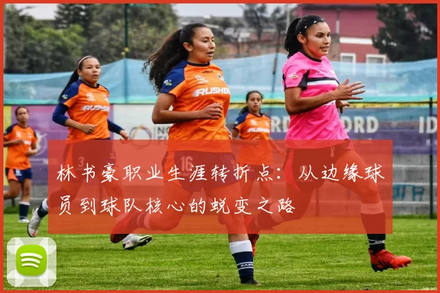 林书豪职业生涯转折点:从边缘球员到球队核心的蜕变之路