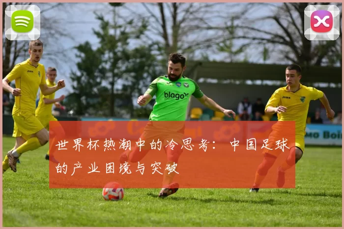 世界杯热潮中的冷思考：中国足球的产业困境与突破