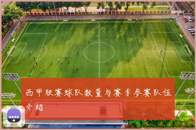西甲联赛球队数量与赛季参赛队伍介绍
