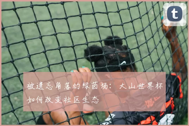 被遗忘角落的绿茵场:大山世界杯如何改变社区生态