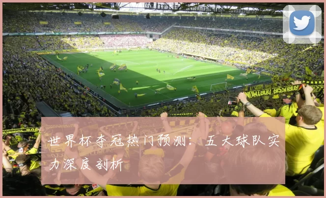 世界杯夺冠热门预测:五大球队实力深度剖析
