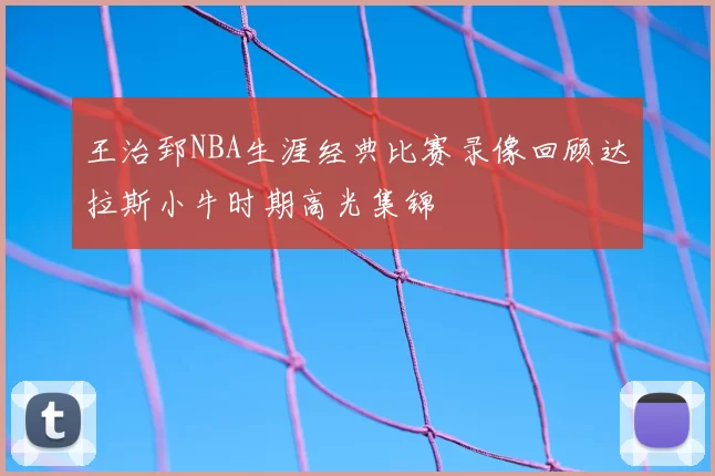 王治郅NBA生涯经典比赛录像回顾达拉斯小牛时期高光集锦