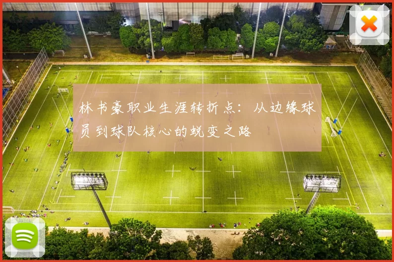 林书豪职业生涯转折点:从边缘球员到球队核心的蜕变之路