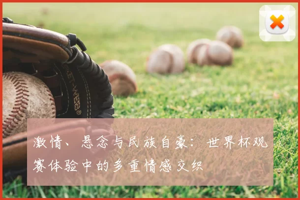 激情、悬念与民族自豪:世界杯观赛体验中的多重情感交织