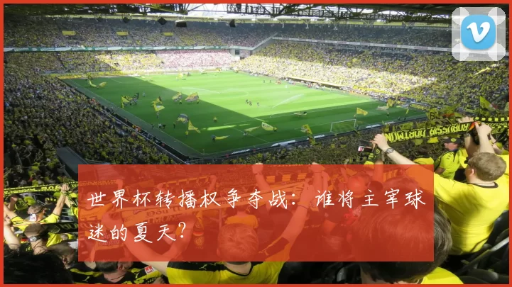 世界杯转播权争夺战：谁将主宰球迷的夏天？