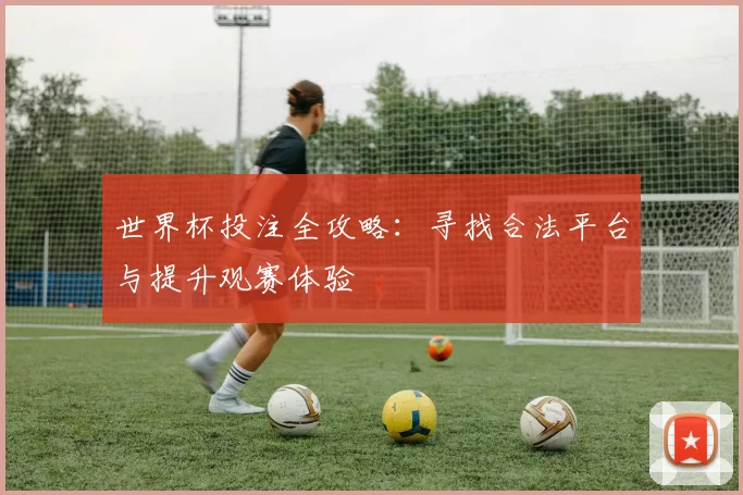 世界杯投注全攻略：寻找合法平台与提升观赛体验