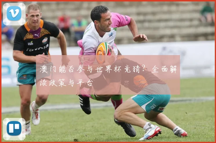 澳门能否参与世界杯竞猜?全面解读政策与平台