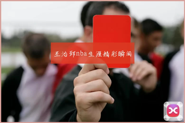 王治郅nba生涯精彩瞬间