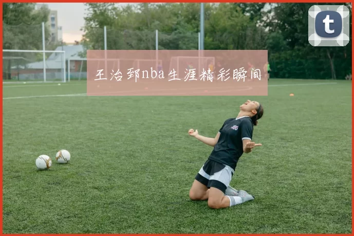 王治郅nba生涯精彩瞬间