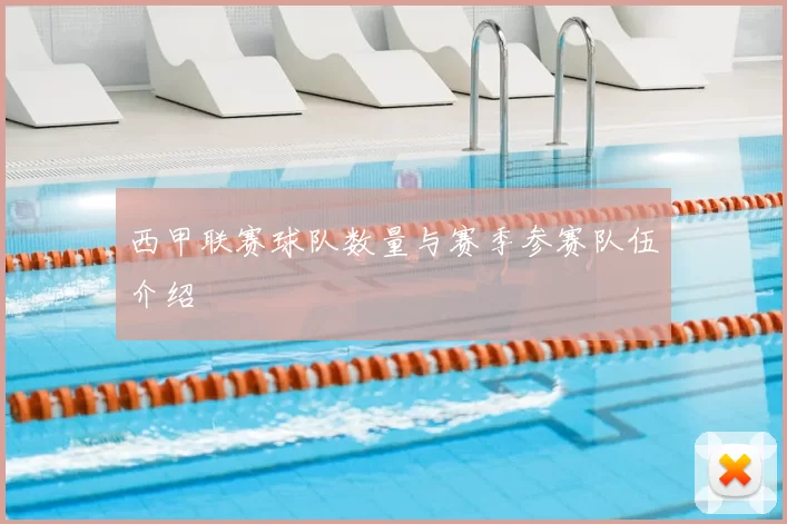 西甲联赛球队数量与赛季参赛队伍介绍